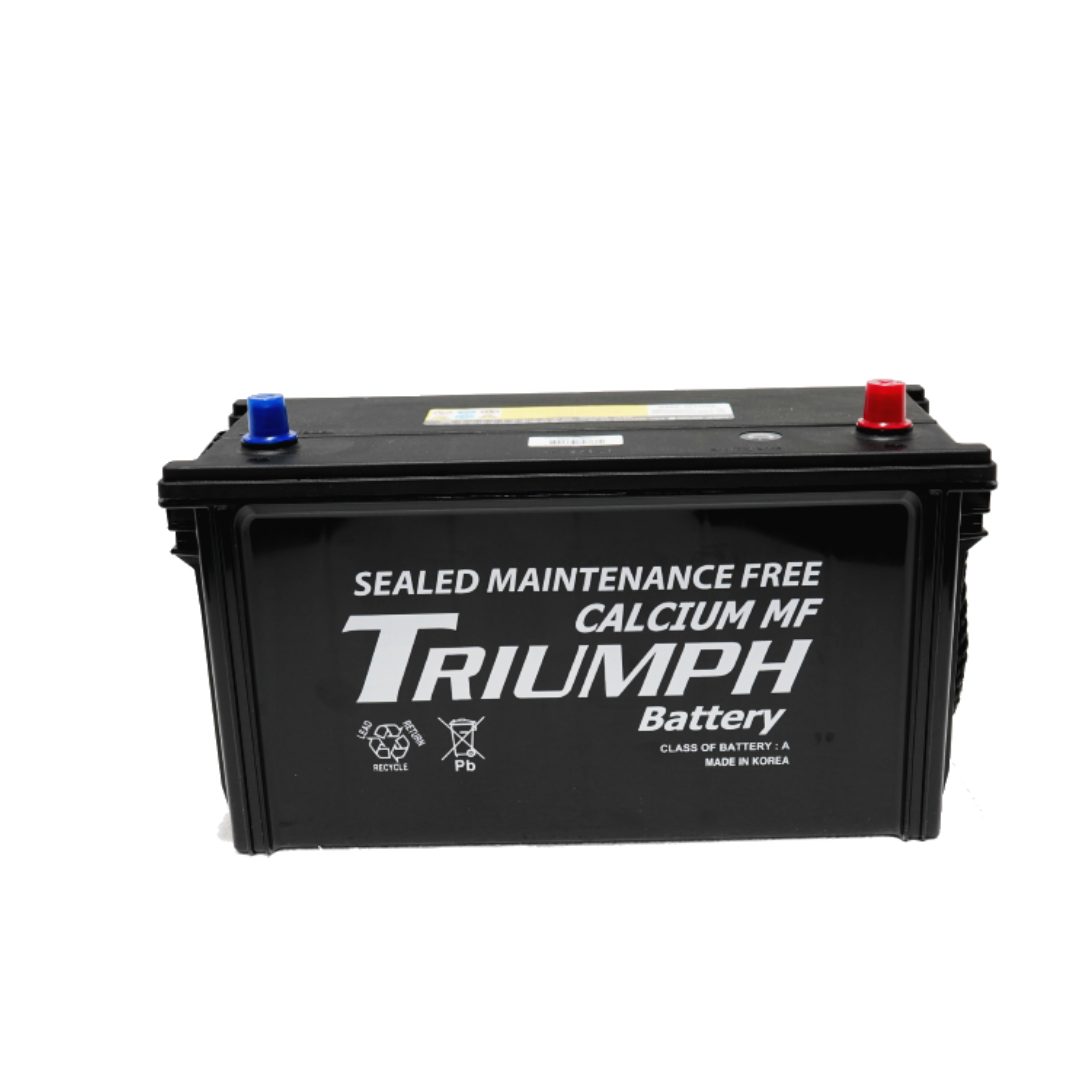 Triumph Battery White BG 1