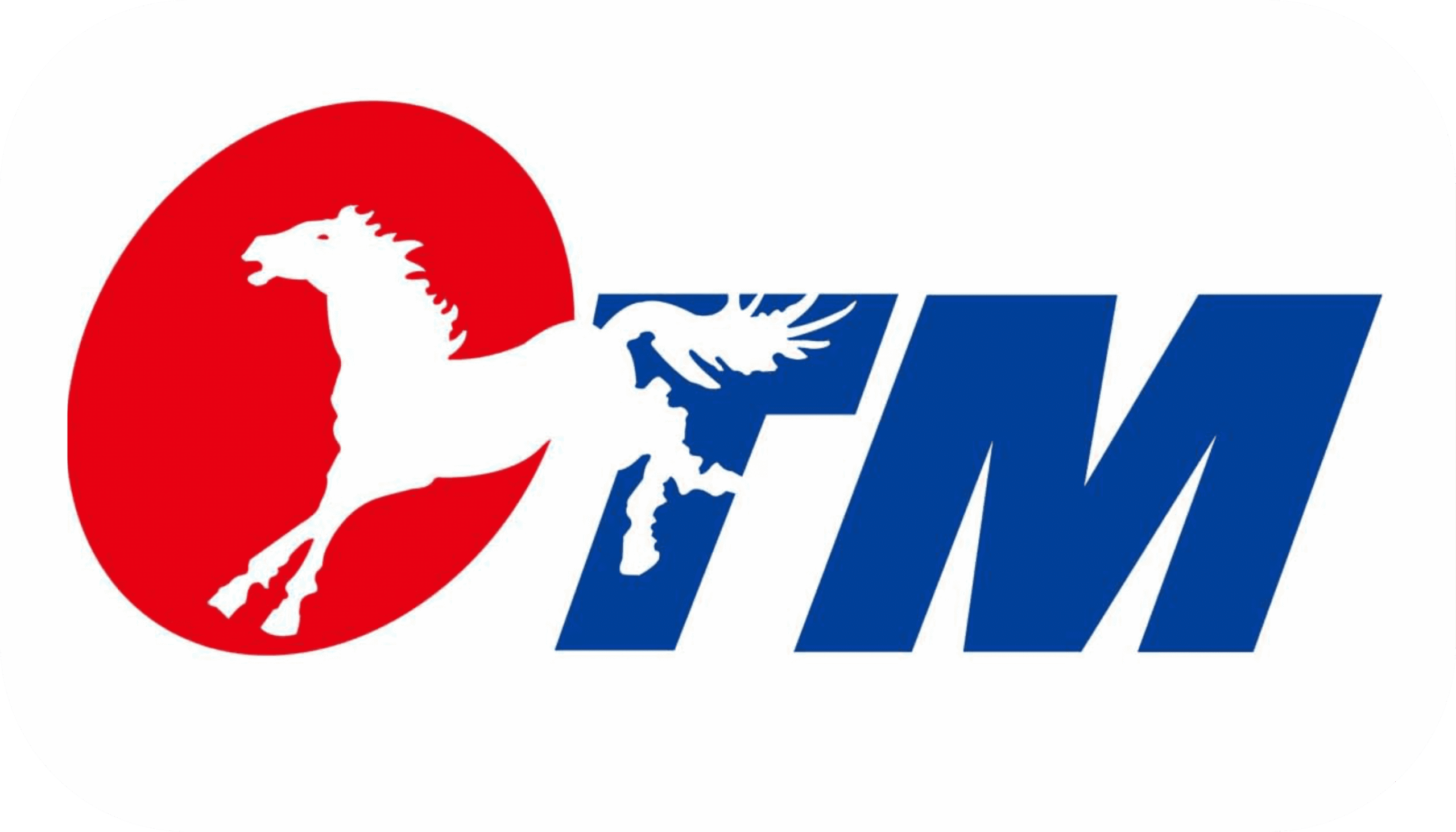 CTM Tires Distributor in KSA